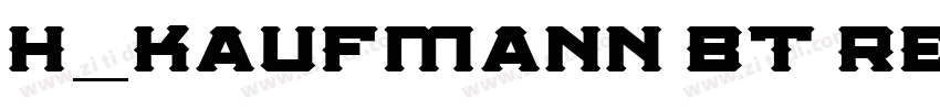 H_Kaufmann BT Regula字体转换